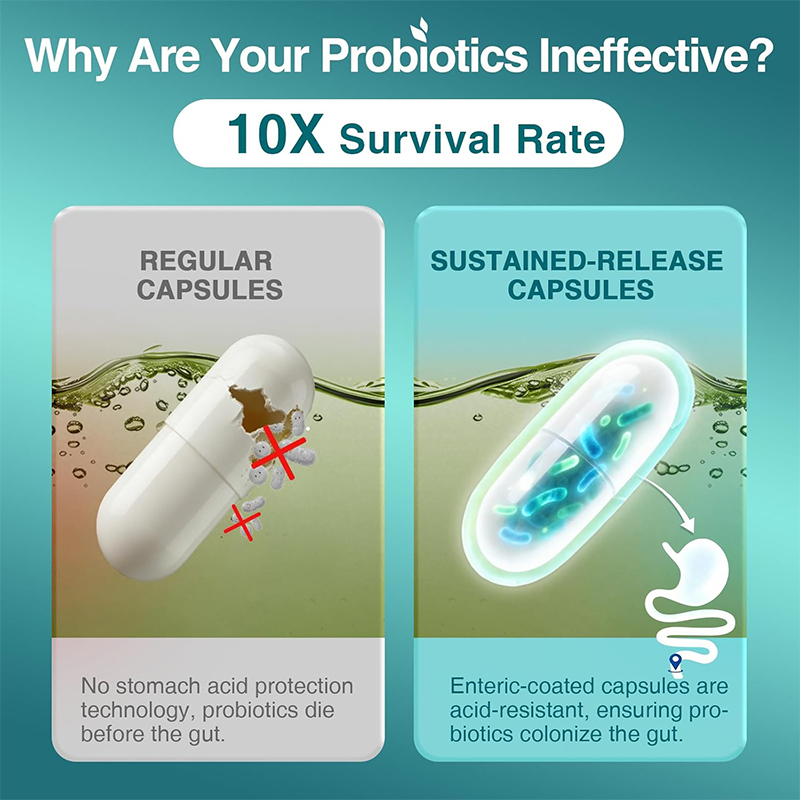 Probiotics for Digestive Healt - огляд і ціна Probiotic 60 Billion