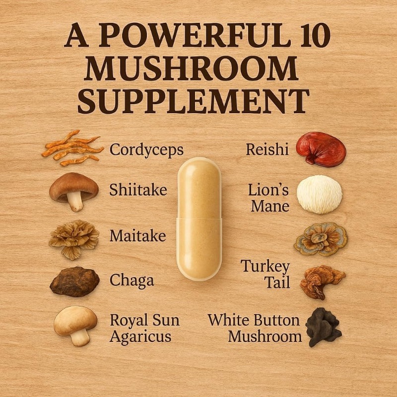 Mushroom Compound Supplement 1 - огляд і ціна Lion Mane Mushroom