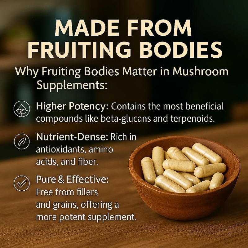 Mushroom Compound Supplement 1 - огляд і ціна Lion Mane Mushroom