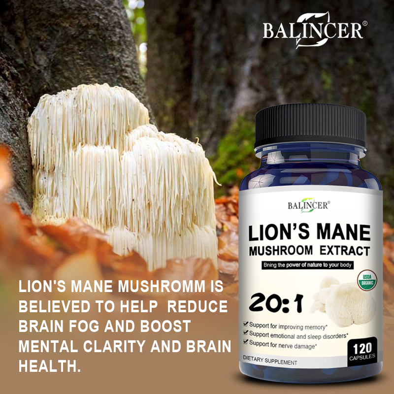 Lion's Mane - Nootropic Brain  - огляд і ціна Lion Mane Mushroom