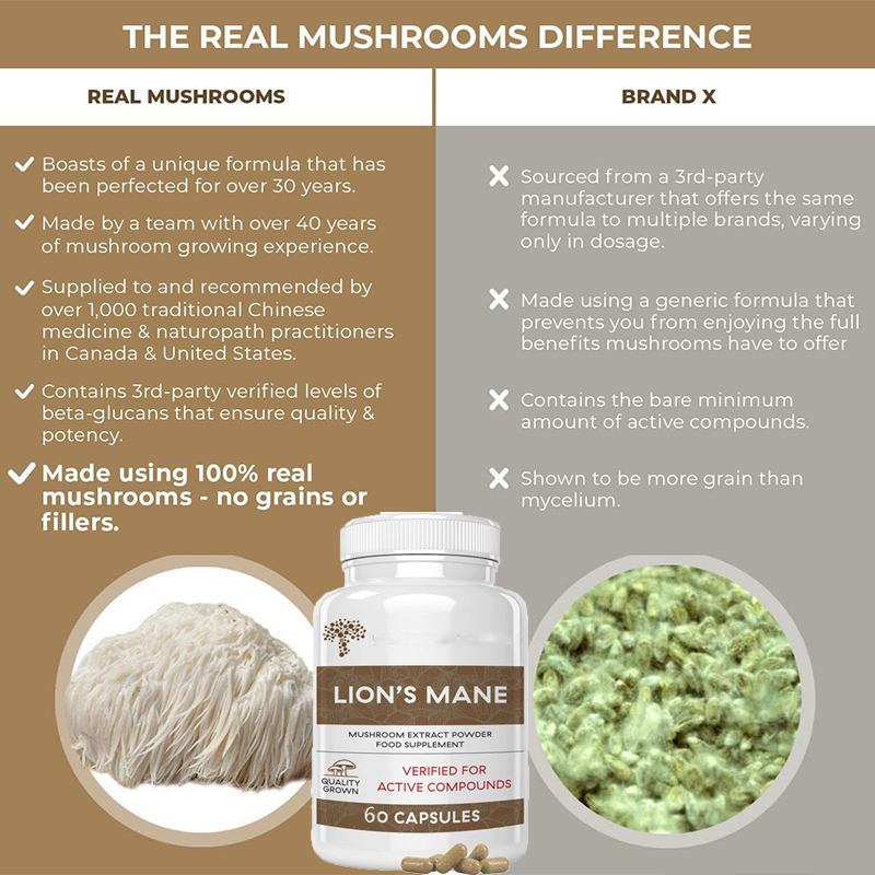 Lion Mane Ganoderma Mushroom C - огляд і ціна Lion Mane Mushroom
